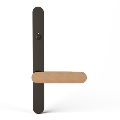 TCL-PR62IRN-E-BZD-OAK-RAW