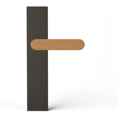 TCL-PS100-E-BZD-OAK-OIL