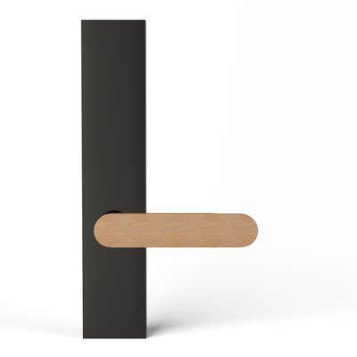 TCL-PS100A-E-SBC-OAK-RAW