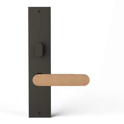 TCL-PS101OA-I-BZD-OAK-RAW