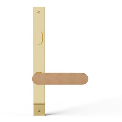 TCL-PS61ON-I-PBU-OAK-RAW