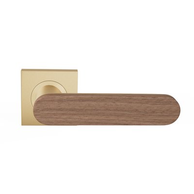 TCL-R50-IF-SBU-NUT-RAW