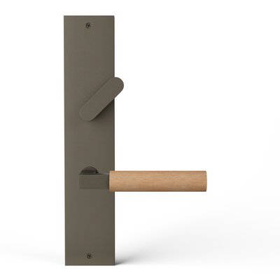 TLX-PS101DW-I-BZM-oak-raw