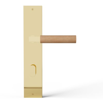 TLX-PS101OL-I-PBU-oak-raw