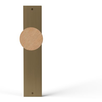 TNK-PS100-I-WBM-OAK-RAW