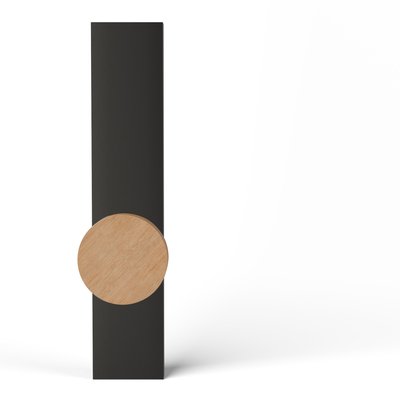 TNK-PS100A-E-SBC-OAK-RAW