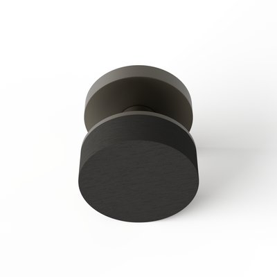 TNK-R05-IEF-BZM-msu