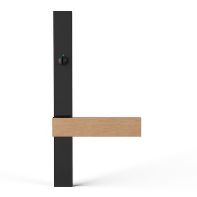 TQU-PS62iRN-E-BKA-oak-raw