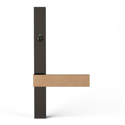 TQU-PS62iRN-E-BZD-oak-raw