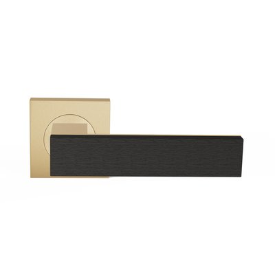 TQU-R50-E-RH-SBU-msu