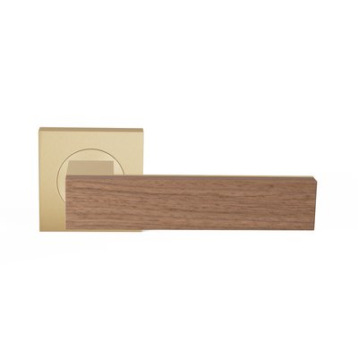 TQU-R50-EF-SBU-nut-raw