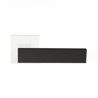 TQU-R50-EF-WHS-msu